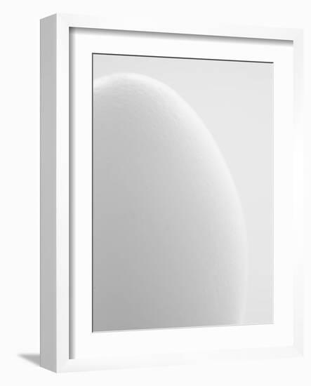 White egg-Ada Summer-Framed Photographic Print