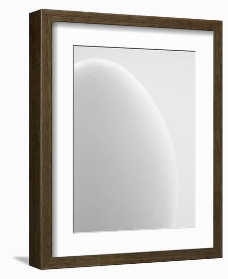 White egg-Ada Summer-Framed Photographic Print