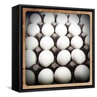 White Eggs in a Carton-pablo guzman-Framed Stretched Canvas