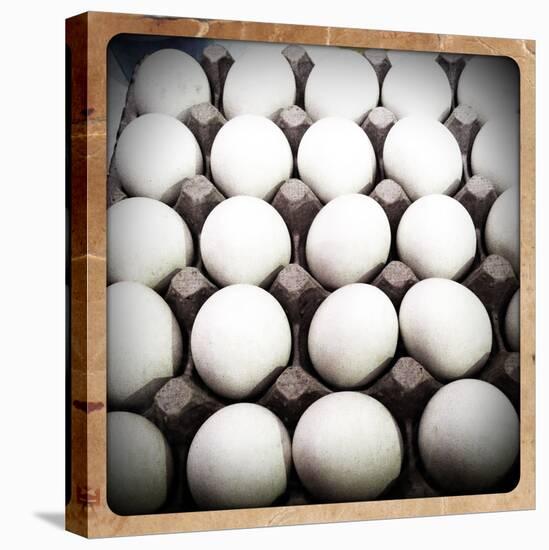 White Eggs in a Carton-pablo guzman-Stretched Canvas