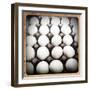 White Eggs in a Carton-pablo guzman-Framed Premium Photographic Print