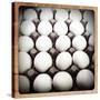 White Eggs in a Carton-pablo guzman-Stretched Canvas