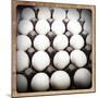 White Eggs in a Carton-pablo guzman-Mounted Photographic Print