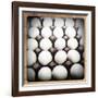 White Eggs in a Carton-pablo guzman-Framed Photographic Print