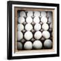 White Eggs in a Carton-pablo guzman-Framed Photographic Print