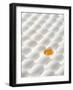 White Eggs, Lying on Their Sides, One Opened-Klaus Arras-Framed Premium Photographic Print