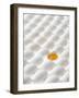 White Eggs, Lying on Their Sides, One Opened-Klaus Arras-Framed Photographic Print