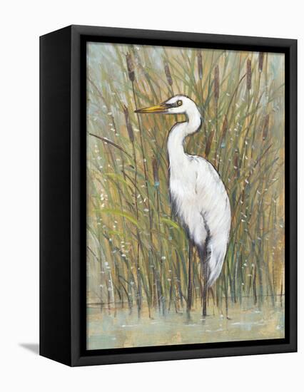 White Egret I-Tim OToole-Framed Stretched Canvas