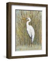 White Egret I-Tim OToole-Framed Art Print