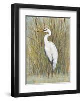 White Egret I-Tim OToole-Framed Art Print