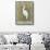 White Egret I-Tim OToole-Framed Stretched Canvas displayed on a wall