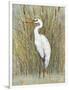 White Egret I-Tim OToole-Framed Art Print