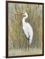 White Egret I-Tim OToole-Framed Art Print