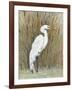 White Egret II-Tim OToole-Framed Art Print