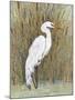 White Egret II-Tim OToole-Mounted Art Print