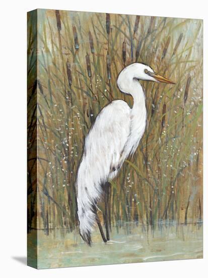 White Egret II-Tim OToole-Stretched Canvas