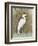 White Egret II-Tim OToole-Framed Art Print