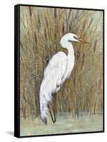 White Egret II-Tim OToole-Framed Stretched Canvas