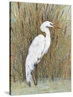 White Egret II-Tim OToole-Stretched Canvas