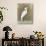 White Egret II-Tim OToole-Art Print displayed on a wall