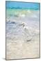 White Egret - In the Style of Oil Painting-Philippe Hugonnard-Mounted Giclee Print