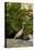White Egret Tropical Bird, Bavaro, Higuey, Punta Cana, Dominican Republic-Lisa S^ Engelbrecht-Stretched Canvas