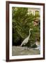 White Egret Tropical Bird, Bavaro, Higuey, Punta Cana, Dominican Republic-Lisa S^ Engelbrecht-Framed Photographic Print