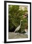 White Egret Tropical Bird, Bavaro, Higuey, Punta Cana, Dominican Republic-Lisa S^ Engelbrecht-Framed Photographic Print