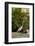 White Egret Tropical Bird, Bavaro, Higuey, Punta Cana, Dominican Republic-Lisa S^ Engelbrecht-Framed Photographic Print