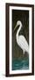 White Egret-Julie DeRice-Framed Premium Giclee Print