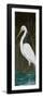 White Egret-Julie DeRice-Framed Premium Giclee Print