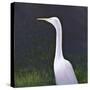 White Egret-Lincoln Seligman-Stretched Canvas