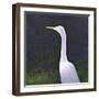 White Egret-Lincoln Seligman-Framed Giclee Print