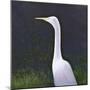 White Egret-Lincoln Seligman-Mounted Giclee Print