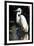 White Egret-Vivienne Dupont-Framed Art Print