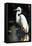 White Egret-Vivienne Dupont-Framed Stretched Canvas