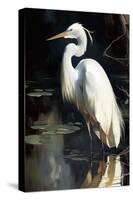 White Egret-Vivienne Dupont-Stretched Canvas