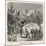 White Elephant Siam-null-Mounted Art Print