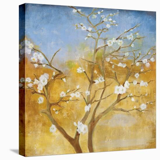 White Emanations-Jill Martin-Stretched Canvas