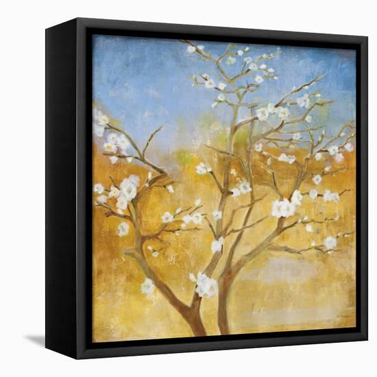White Emanations-Jill Martin-Framed Stretched Canvas