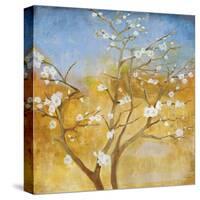 White Emanations-Jill Martin-Stretched Canvas
