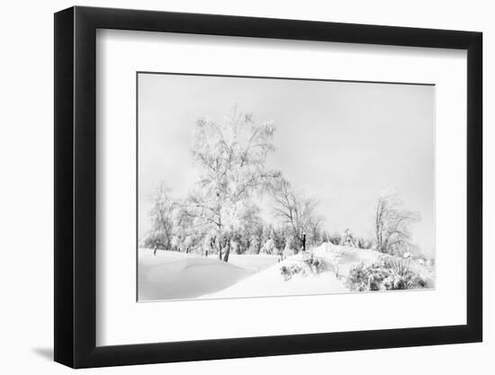 White Everywhere-Philippe Sainte-Laudy-Framed Photographic Print