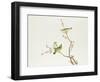 White-Eye Bird, Ch'ien-lung Period-null-Framed Giclee Print