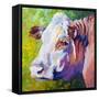 White Face Cow-Marion Rose-Framed Stretched Canvas