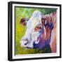 White Face Cow-Marion Rose-Framed Giclee Print