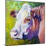 White Face Cow-Marion Rose-Mounted Giclee Print