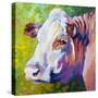 White Face Cow-Marion Rose-Stretched Canvas