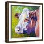 White Face Cow-Marion Rose-Framed Giclee Print