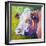 White Face Cow-Marion Rose-Framed Giclee Print