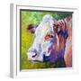White Face Cow-Marion Rose-Framed Giclee Print